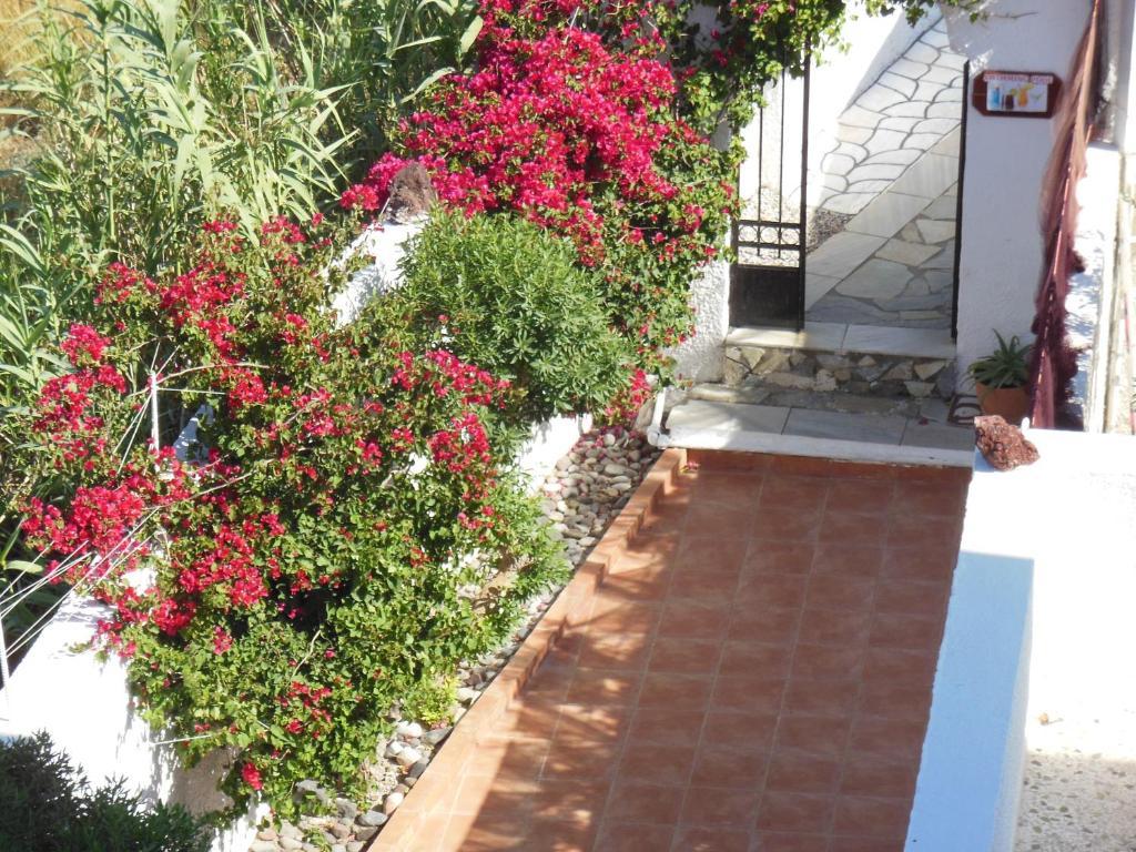 פריסה Santa Irini Hotel מראה חיצוני תמונה